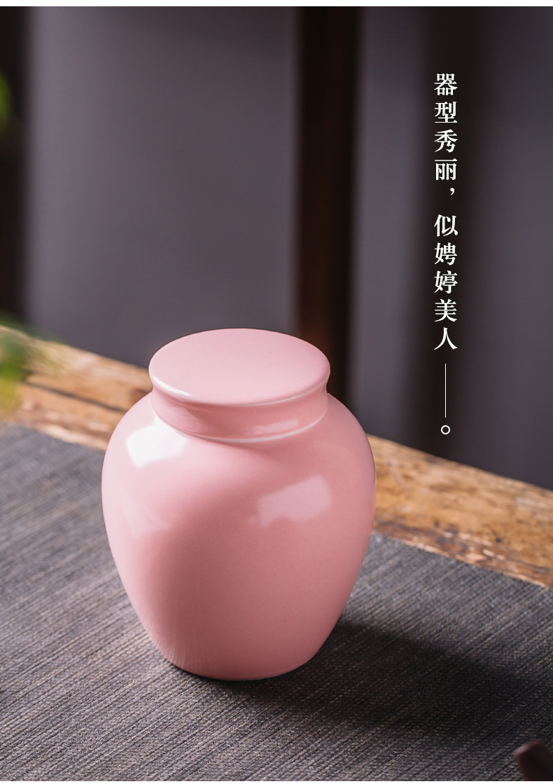 Jingdezhen ceramic tea pot seal box restoring ancient ways dark high temperature region of moistureproof without peculiar smell of the big POTS