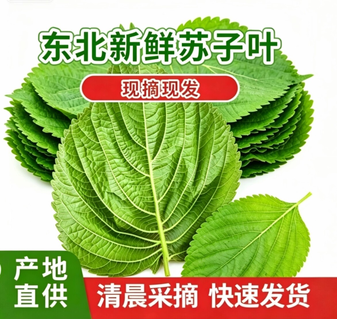 唐福王的LOGO