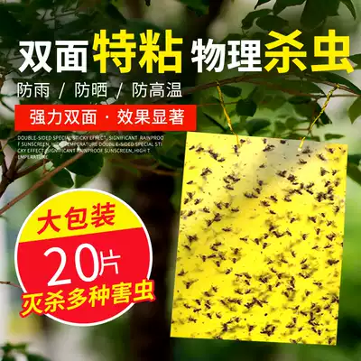 With yellow sticky double-sided you chong ban paper yellow off small flying insects bee thrips dip Drosophila adhesive plate greenhouse Orchard