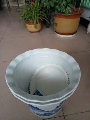 Flower clivia set basin bottom plastic bonsai POTS orchid large extra large courtyard planting base