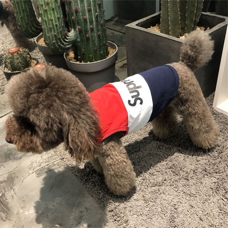 Quần áo chó mùa hè và mùa thu mỏng phần nhỏ chó vest thú cưng thương hiệu thủy triều Teddy hơn Xiong Keji luật chiến đấu trang phục chó - Quần áo & phụ kiện thú cưng bộ quần áo thú cưng