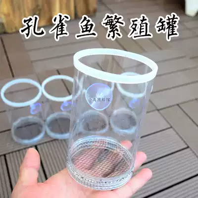 Guppy breeding box fish tank isolation net production tank production box female fish production small fish separation delivery room large incubation net