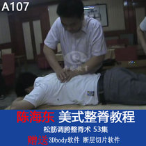 Chen Haidong loose tendon adjustment crotch chiropractic American Chiropractic video tutorial full 53 episodes