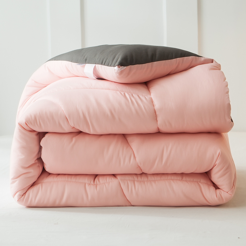 Quilt winter quilt thickened warm cotton quilt core spring and autumn quilt single student dormitory winter space quilt double air-conditioning quilt