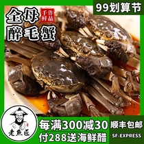 Old fish craftsman drunk hairy crab fresh live crab marinated drunk crab sauce raw drunk crab instant Xiangshan specialty 750g