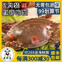Ningbo specialty choking crab Zhoushan Red cream crab drunk crab swimming crab salted crab sauce female crab raw pickled crab instant food