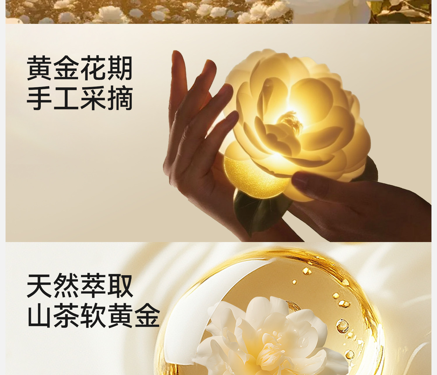 【山茶花柔护裤】儿童内裤女童莱赛尔透气中大童A类女孩三角底裤 — 7