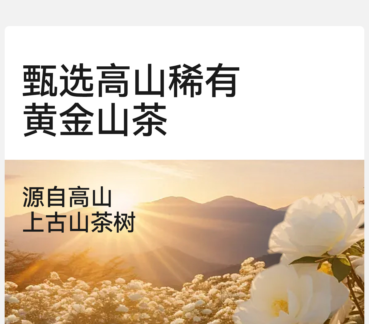 【山茶花柔护裤】儿童内裤女童莱赛尔透气中大童A类女孩三角底裤 — 6