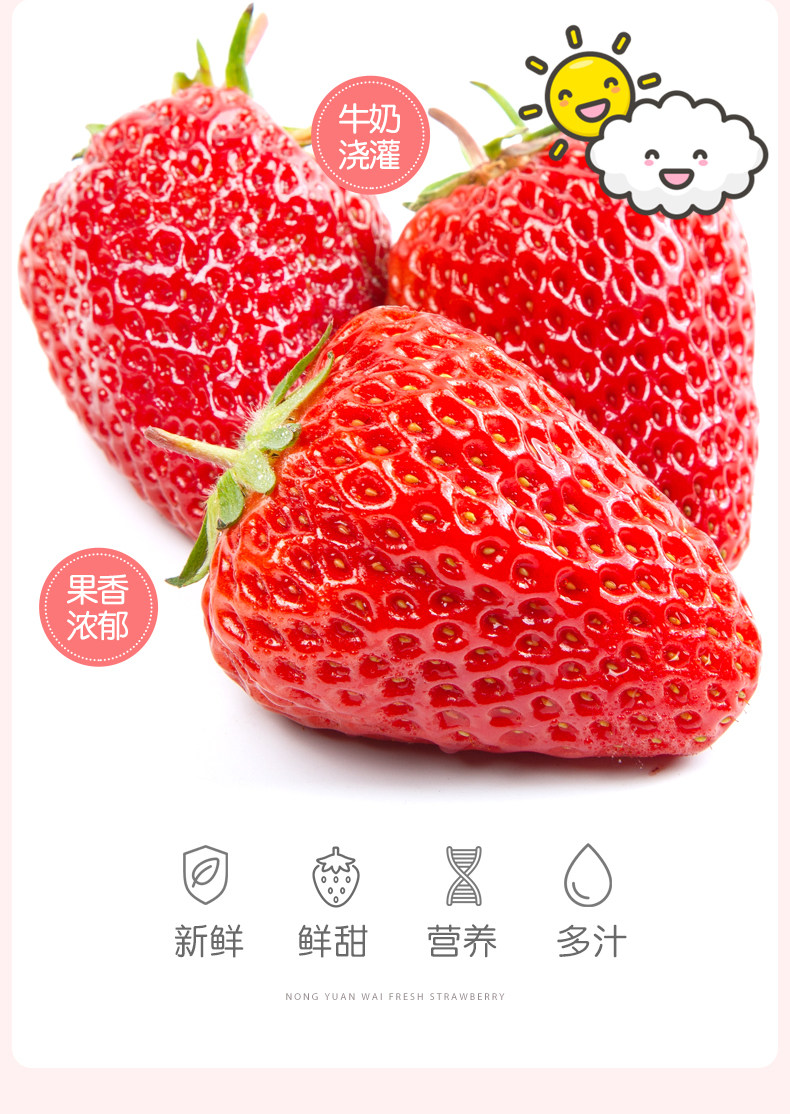当季现货 奶油草莓 2斤 图4