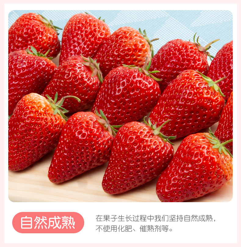 当季现货 奶油草莓 2斤 图5