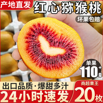 20 pieces Sichuan red heart kiwi fruit Pujiang kiwi fruit fresh kiwi seasonal fruit pregnant women whole box