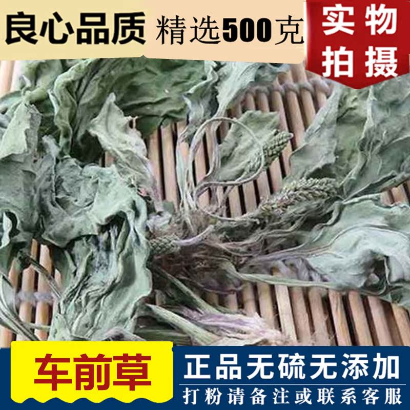 Pre - car herb selected special 500g bubble water natural vehicle precursor dried wild fresh dry goods