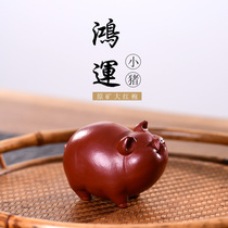 Outside the pine forest Purple sand tea pet Yixing original mine Dahongpao can raise boutique ornaments Small tea play pig luck can raise