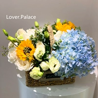 K стиль -blue Hydrangea модель