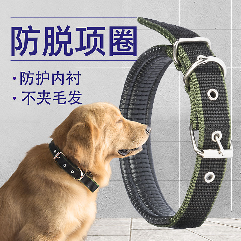 Dog collar collar collar headgear large and small dog golden hair collar Teddy supplies traction rope Bell dog collar collar