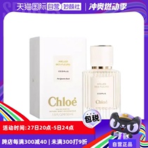 (Self-operated) Chinese Valentines Day gift Chloe Chloé Wonderland Garden Series-Northern Cedar