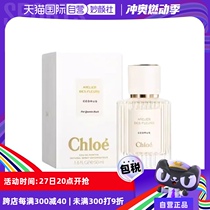 (Self-operated) (Beijing Satellite TV Beijing Selection) Chloe Fairyland Garden Series-Northern Cedar