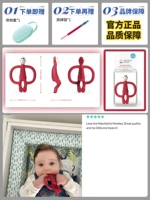 Шнурок-держатель, антибактериальная красная коробка для хранения