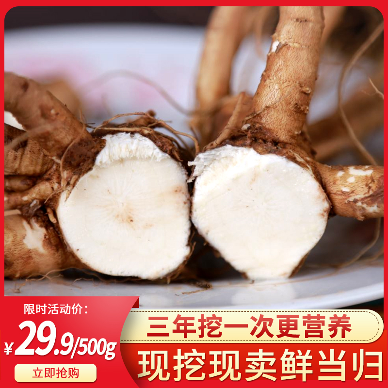 岷贡源 19年新货 甘肃岷县现挖鲜当归 500g 天猫优惠券折后￥12.9包邮（￥27.9-15）