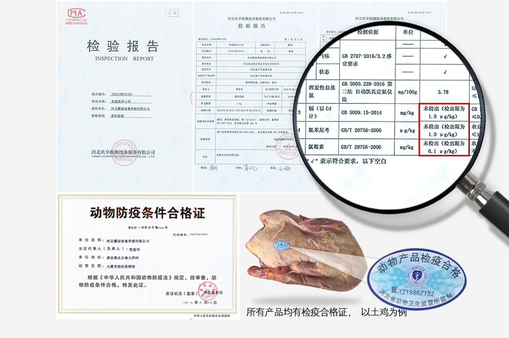 食裁 正宗农家散养乌鸡 新鲜现杀 净重2斤以上 图9