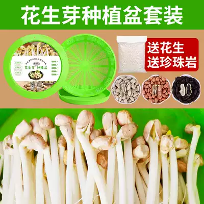 Hydroponic peanut bud planting plate bean sprouts seedling plate peanut bud planting box sprouting artifact family peanut bud pot