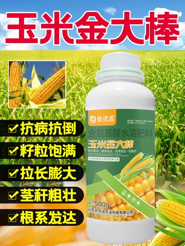 Вода из кукурузного золота -Современные удобрения удобрения и устойчивость к утолщению, анти -дисаза, анти -кадающе, анти -бальд, способствуя корням