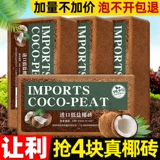 Кокосовое кирпичное питание почва почва Кокосовое кокосовое кокосовое кокосовое оболоч