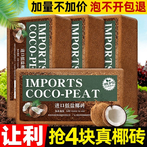 Кокосовое кирпичное питание почва почва Кокосовое кокосовое кокосовое кокосовое оболоч