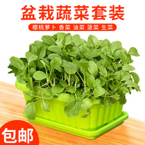 Small chives lettuce cabbage vegetable planting package vegetable pot artifact family balcony plastic trough indoor tray