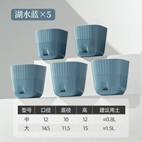 Озеро синее 【5 установок】