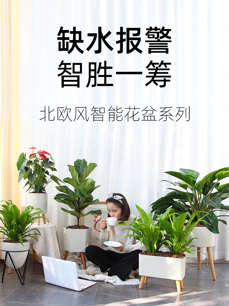 Slowy flowerpot automatic water absorption creative artifact planted gold gold tomato Nordic wind plastic in flower pot family balcony