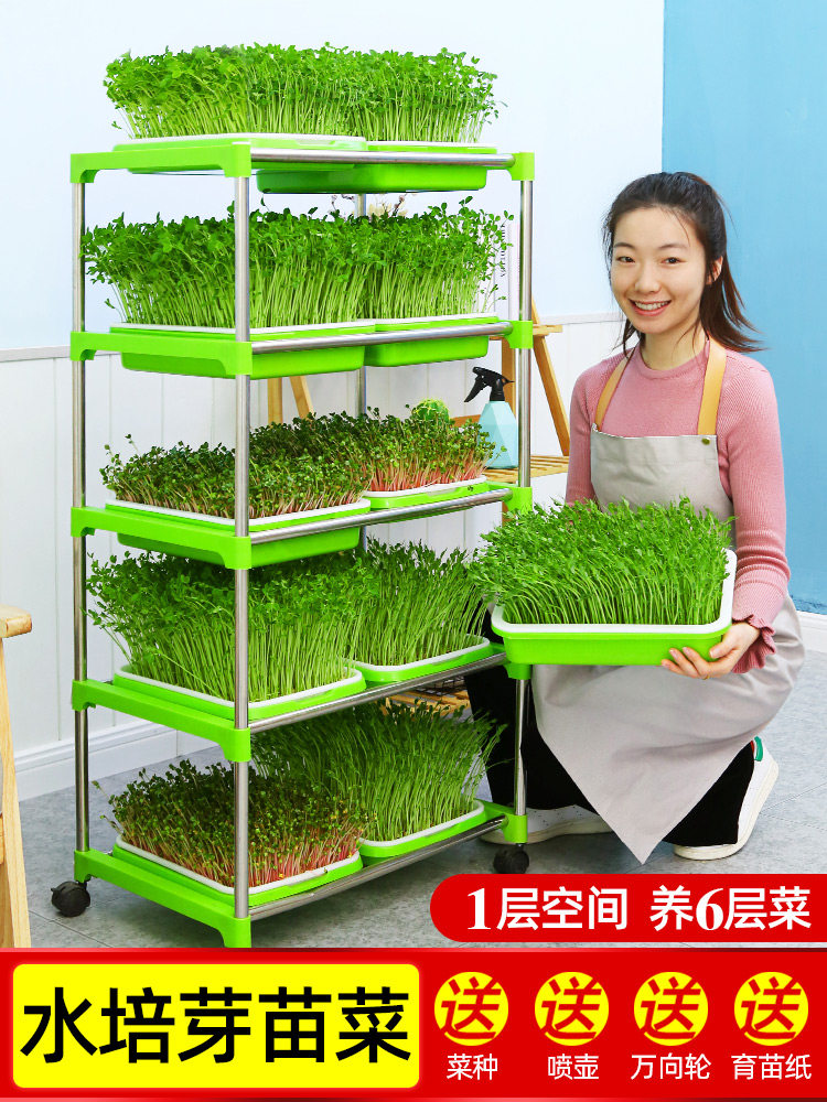 Bean sprout sprout pot Sprout vegetable nursery tray Soilless cultivation vegetables Bean sprout planting hydroponic equipment Sprout wheat