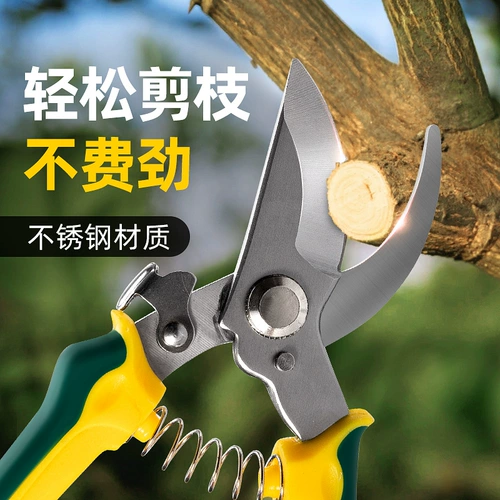 Инструментальные ножницы сады сады мощные грубые ветви фруктовые деревья выбирают фруктовые ножницы.