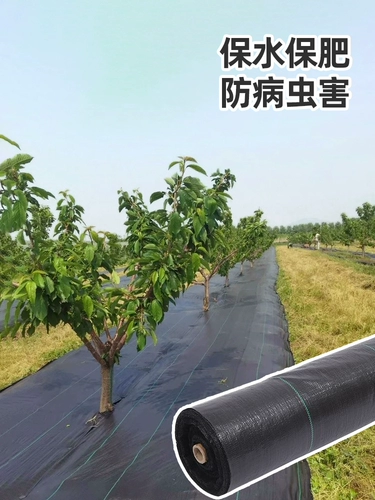 Антиграссная ткань, ткань сорняков прочная земля, фруктовый сад сад, травяная ткань, травяная ткань, сельскохозяйственная наземная ткань, оптом, оптом