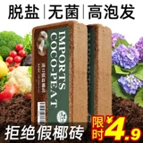 Кокосовое кирпичное питание почва почва Кокосовое кокосовое кокосовое кокосовое оболоч