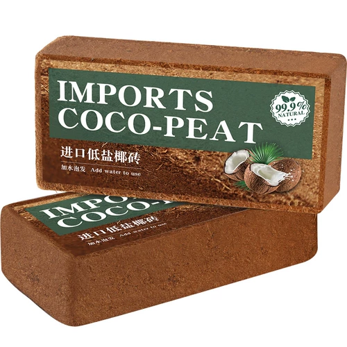 Кокосовое кирпичное питание почва почва Кокосовое кокосовое кокосовое кокосовое оболоч