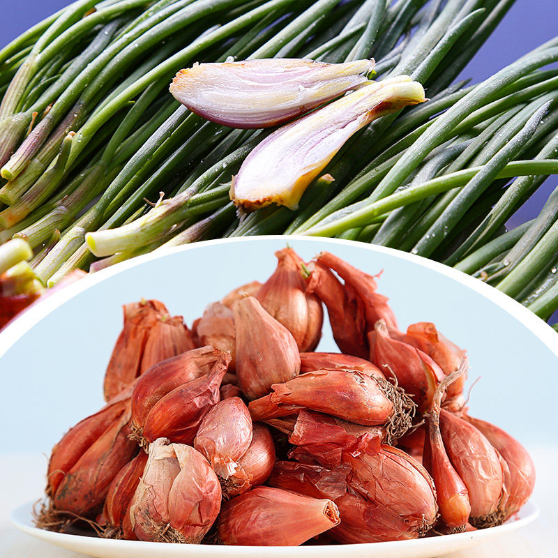 Red shallot red onion red onion dry onion in the four seasons small and scallion oil shallot and grow fresh 1 catty