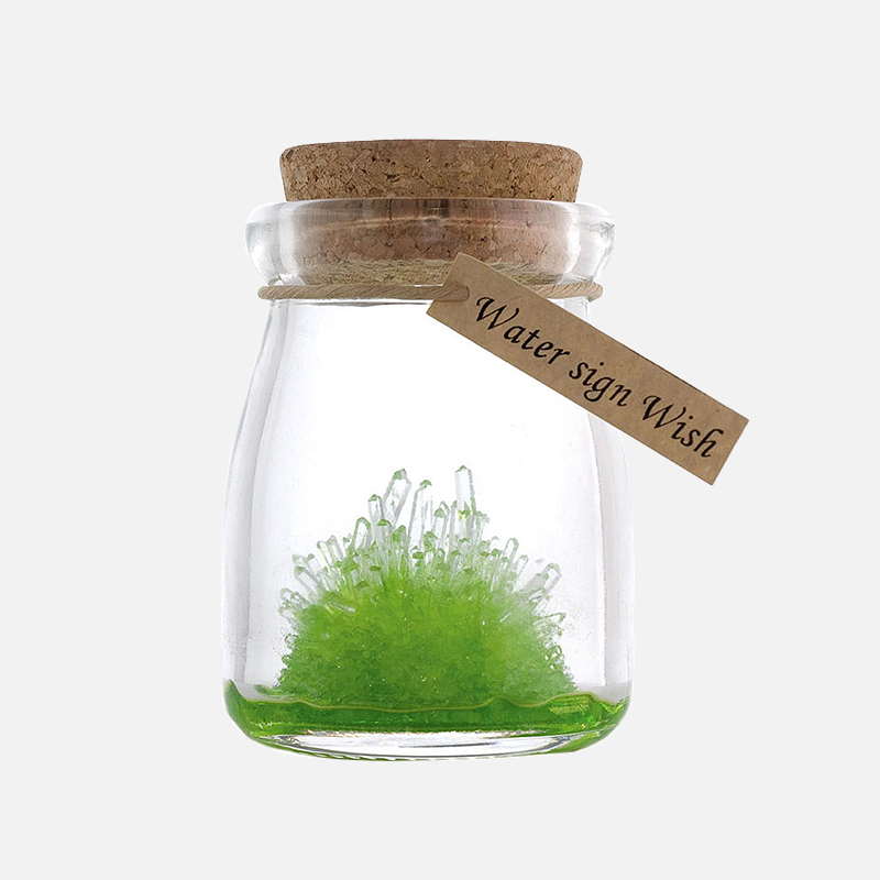 Children Creative Crystal Cultivation Kindergarten Diy Small Potted Tomato Tabletop Mini Ecological may bottle micro-landscape