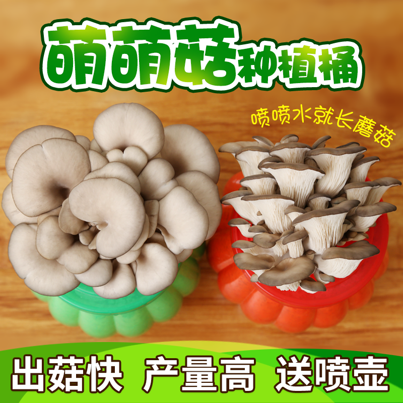 Mushroom growing bag Oyster Mushroom Large Fungus Bacon children Planing small potted family Balcony Golden Needle Mushrooms mushrooms