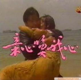 DVD Machine Edition [My Heart and My Heart] Li Nanxing Zheng Huyu 35 Set of 4 Disc