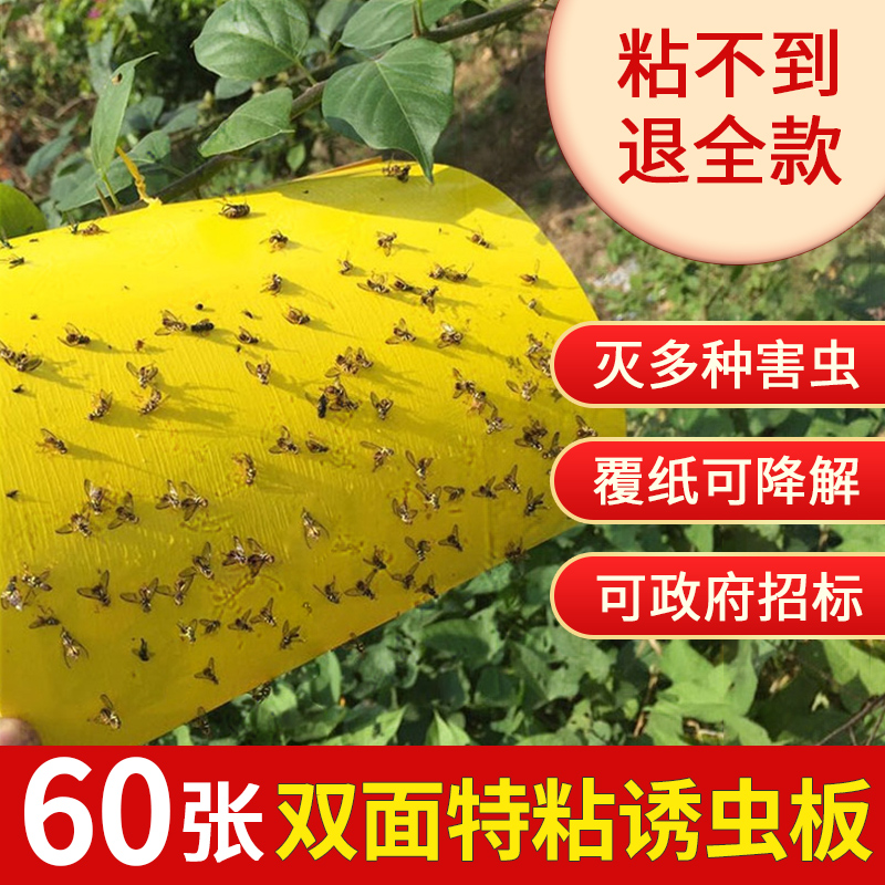 Yellow Plate Double-sided Adhesive Insect plate Trapping Plate Stickers For Small Flying Insects Stained Fruit Fly Trap Orchard Fly Greenhouse-Taobao