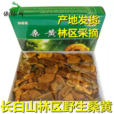 Mulberry yellow wild 500g premium Jilin Changbai Mountain pruning gift box Non-mulberry mulberry yellow Ganoderma lucidum can be powdered