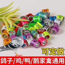 Pigeon foot ring pigeon racing pigeon supplies utensils lettering opening mark identification ring bird foot ring 2021 foot ring customized