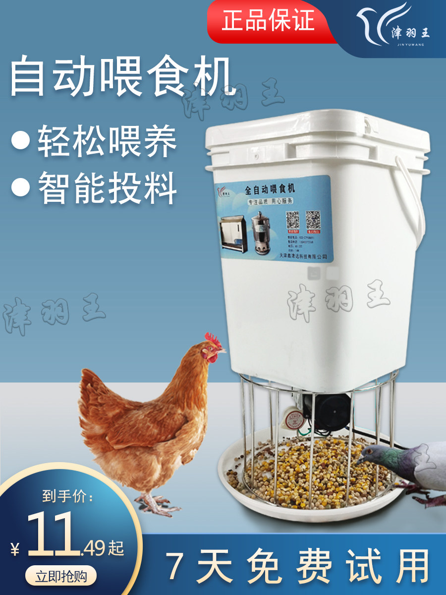 Pigeon automatic feeder carrier pigeon utensils supplies chicken and duck with timing feeding feeding machine feeding trough artifact