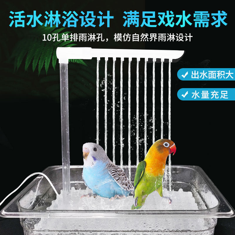 Chrome迷必看！免费网站大全，网速飙升不花一分钱！
