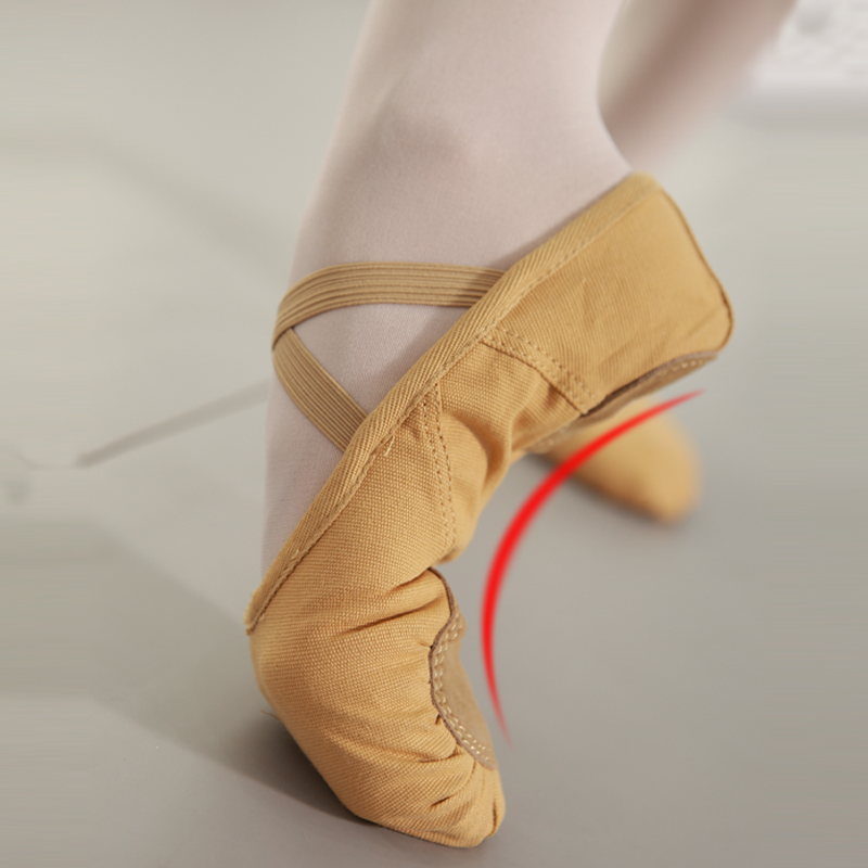 Shi Yi Dance Shoes Women's Soft Solo Practice Shoes Dance Shoes Cat's Claw Shoes Art Test Show Instep Professional Camel Skill Shoes