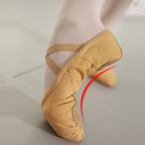 Poetry dance shoes womens soft bottom training shoes dancing shoes cats paws