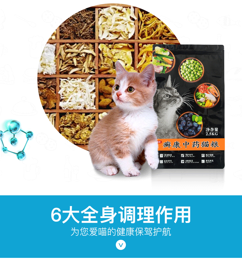 康 猫粮 thức ăn theo toa chó cưng nấm nấm bệnh da thuốc uống chó dog mèo nội khoa - Cat / Dog Medical Supplies máy siêu âm cho chó mèo