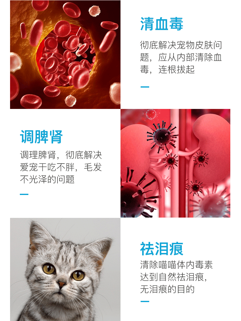 康 猫粮 thức ăn theo toa chó cưng nấm nấm bệnh da thuốc uống chó dog mèo nội khoa - Cat / Dog Medical Supplies máy siêu âm cho chó mèo