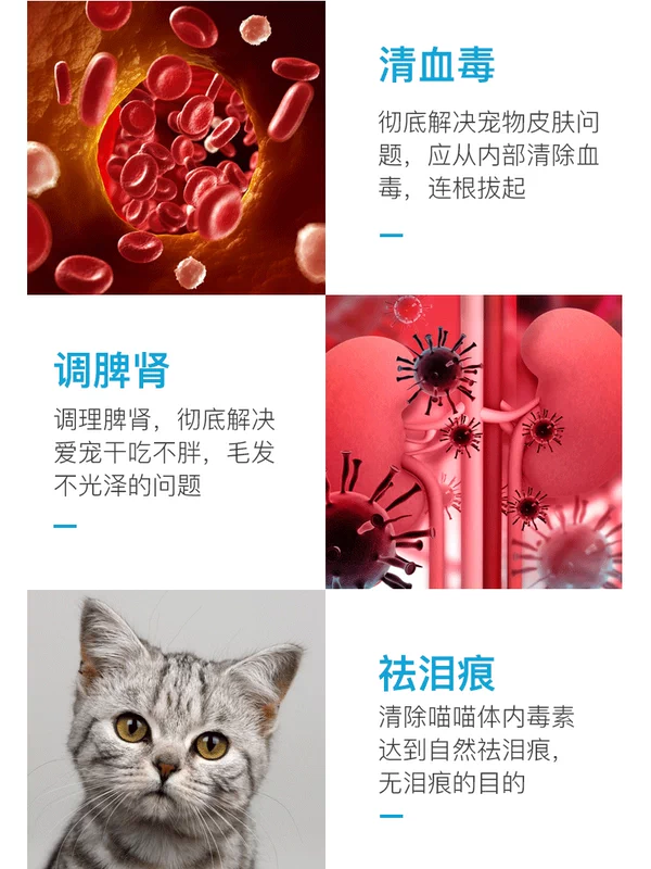 康 猫粮 thức ăn theo toa chó cưng nấm nấm bệnh da thuốc uống chó dog mèo nội khoa - Cat / Dog Medical Supplies
